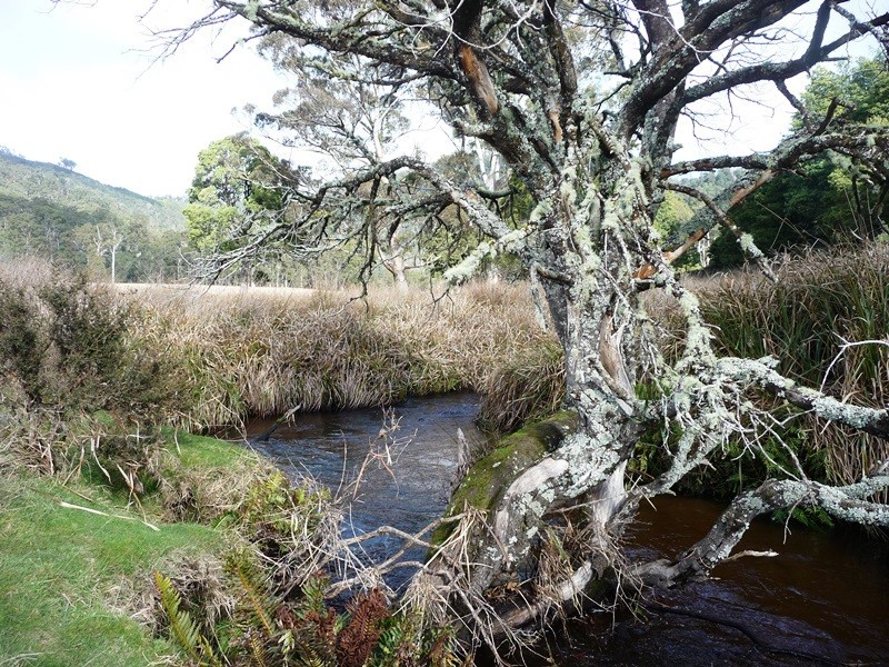 . Upper Esk Road, Upper Esk TAS 7214