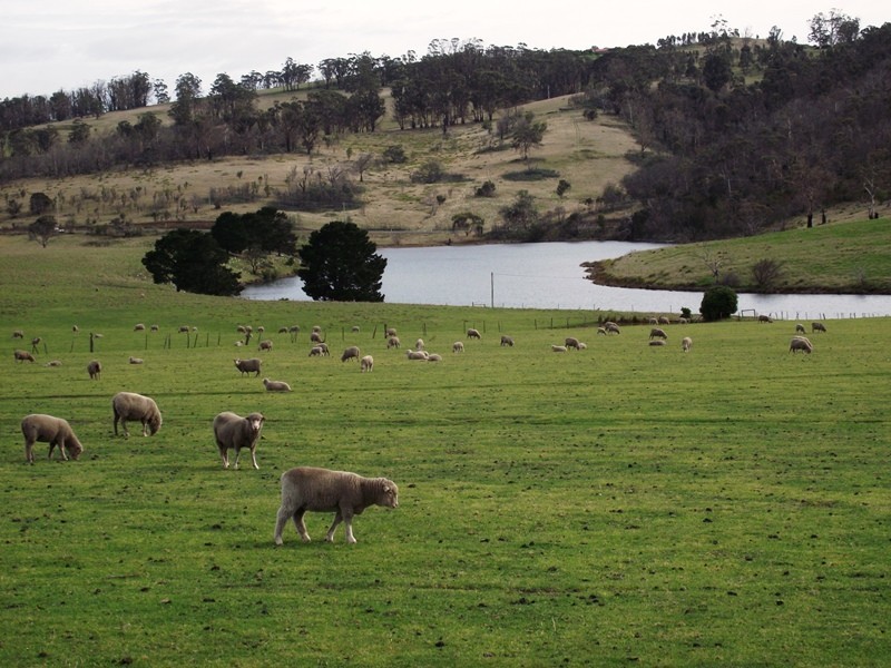 172 Primrose Sands Road, Carlton River TAS 7173