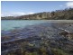 172 Primrose Sands Road, Carlton River TAS 7173