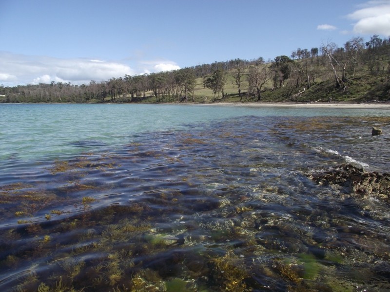 172 Primrose Sands Road, Carlton River TAS 7173