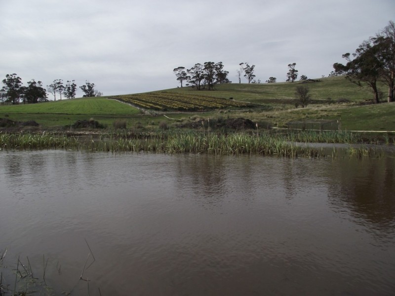 172 Primrose Sands Road, Carlton River TAS 7173