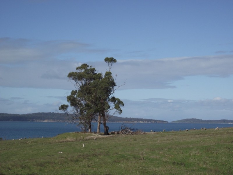 172 Primrose Sands Road, Carlton River TAS 7173