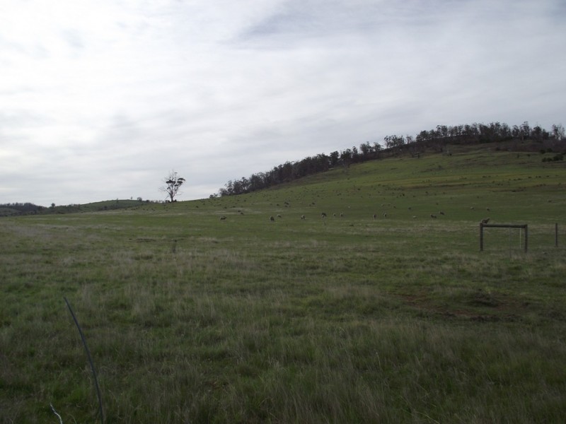 172 Primrose Sands Road, Carlton River TAS 7173