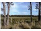 . Wadley’s Road, Reedy Marsh TAS 7304
