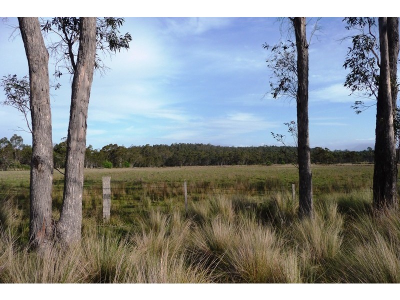 . Wadley’s Road, Reedy Marsh TAS 7304