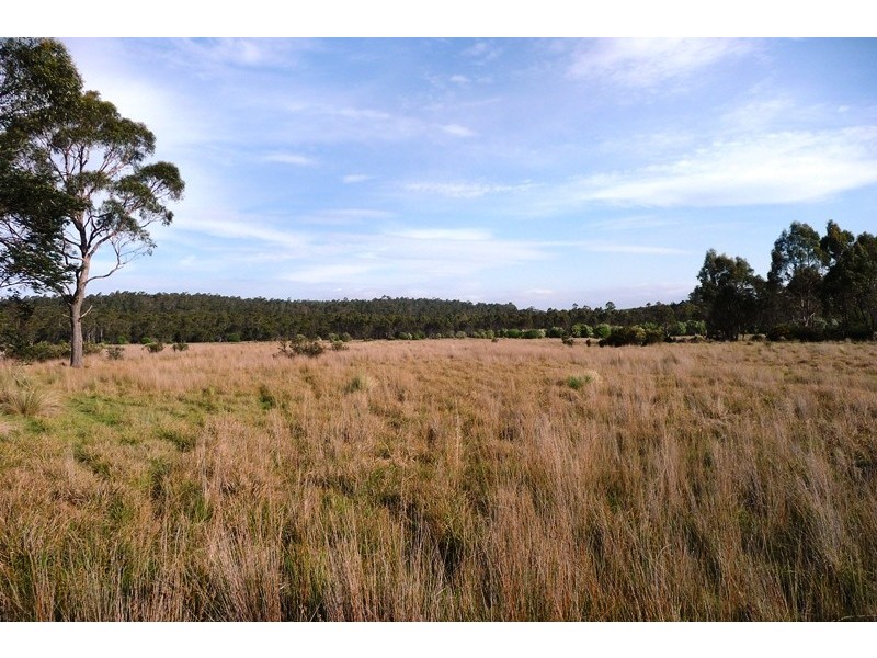 . Wadley’s Road, Reedy Marsh TAS 7304