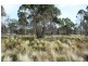 . Wadley’s Road, Reedy Marsh TAS 7304