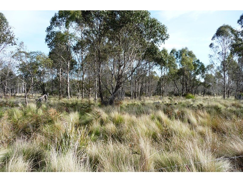 . Wadley’s Road, Reedy Marsh TAS 7304