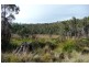 . Wadley’s Road, Reedy Marsh TAS 7304