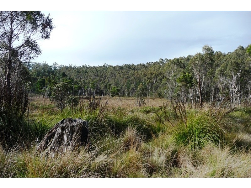. Wadley’s Road, Reedy Marsh TAS 7304