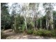 . Wadley’s Road, Reedy Marsh TAS 7304