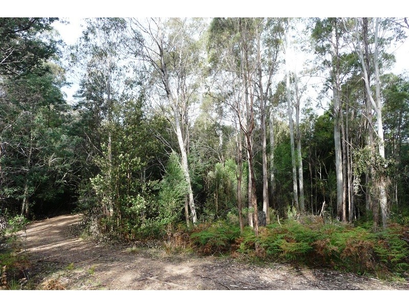 . Wadley’s Road, Reedy Marsh TAS 7304