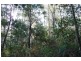 . Wadley’s Road, Reedy Marsh TAS 7304
