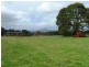 239 Wadley’s Road, Reedy Marsh TAS 7304