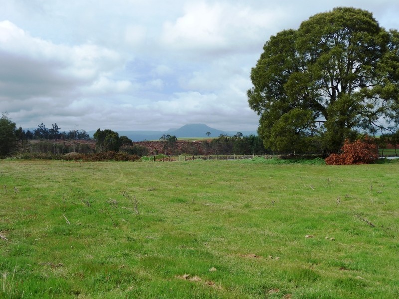 239 Wadley’s Road, Reedy Marsh TAS 7304