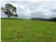 239 Wadley’s Road, Reedy Marsh TAS 7304