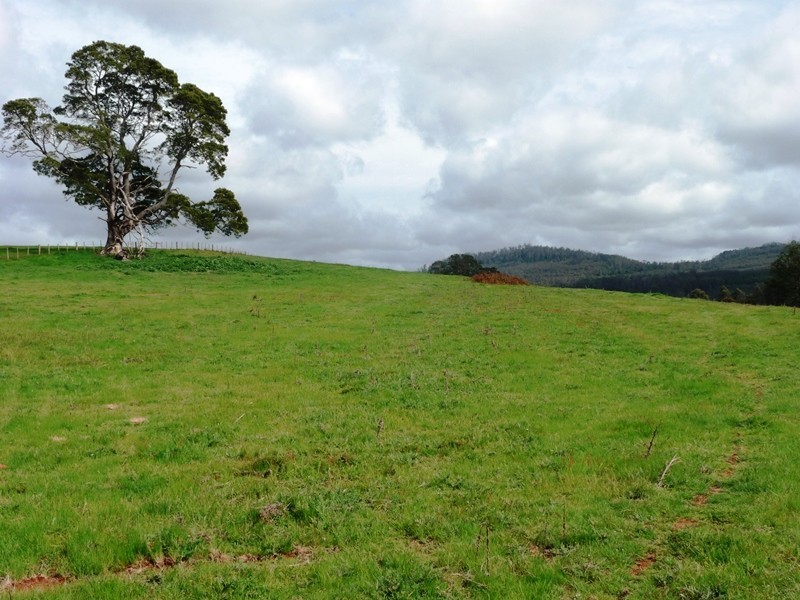 239 Wadley’s Road, Reedy Marsh TAS 7304