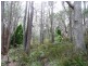 239 Wadley’s Road, Reedy Marsh TAS 7304