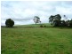 239 Wadley’s Road, Reedy Marsh TAS 7304