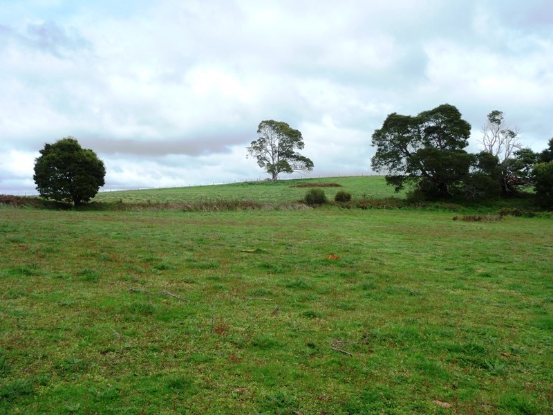 239 Wadley’s Road, Reedy Marsh TAS 7304