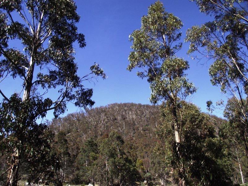 . Woodsdale Road, Woodsdale TAS 7120