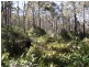. Woodsdale Road, Woodsdale TAS 7120