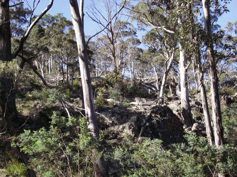 . Woodsdale Road, Woodsdale TAS 7120