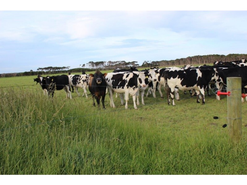 2839 North Road, Yambacoona TAS 7256