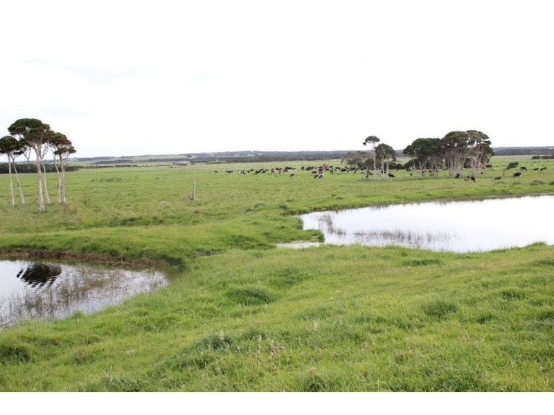 2839 North Road, Yambacoona TAS 7256