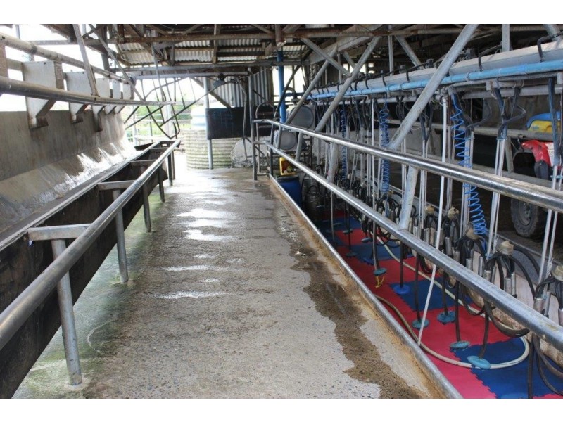 2839 North Road, Yambacoona TAS 7256