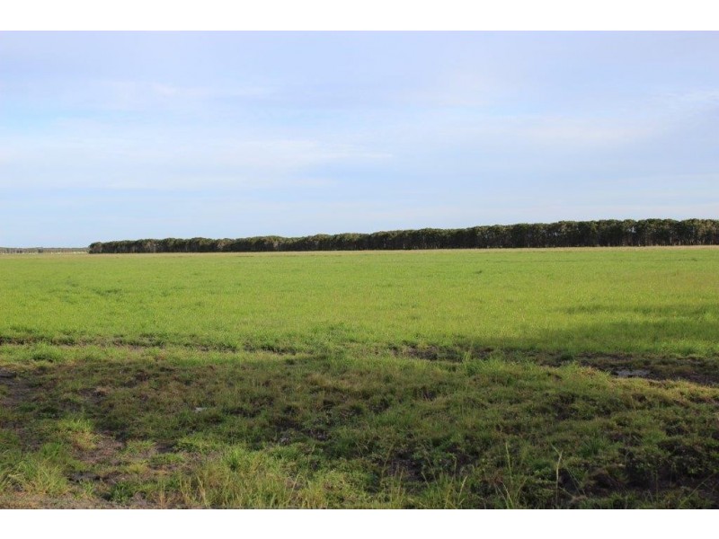 2839 North Road, Yambacoona TAS 7256