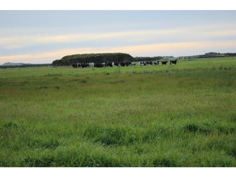 2839 North Road, Yambacoona TAS 7256