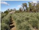 2670 West Tamar Highway, Exeter TAS 7275
