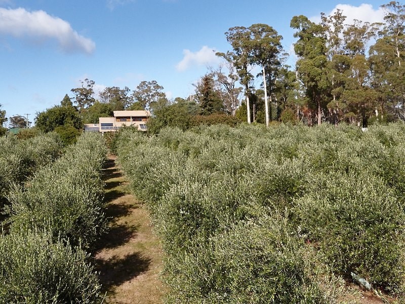2670 West Tamar Highway, Exeter TAS 7275