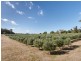 2670 West Tamar Highway, Exeter TAS 7275