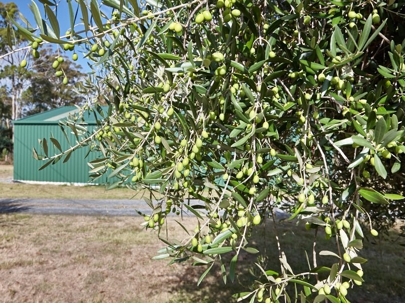 2670 West Tamar Highway, Exeter TAS 7275