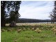 12149 Lyell Highway, Bradys Lake TAS 7140