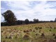 12149 Lyell Highway, Bradys Lake TAS 7140