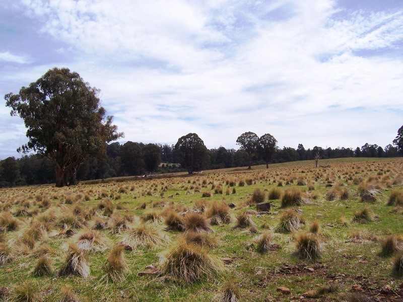 12149 Lyell Highway, Bradys Lake TAS 7140