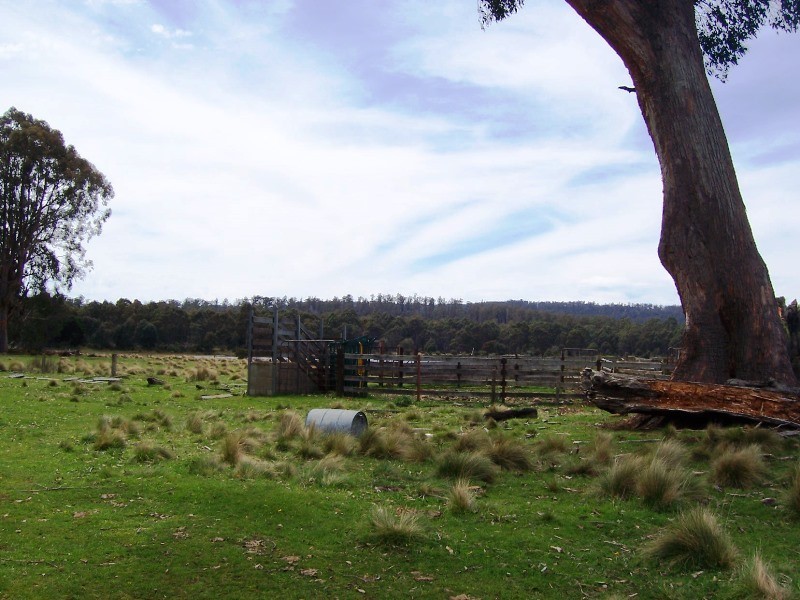 12149 Lyell Highway, Bradys Lake TAS 7140