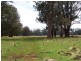 12149 Lyell Highway, Bradys Lake TAS 7140
