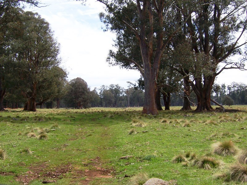12149 Lyell Highway, Bradys Lake TAS 7140