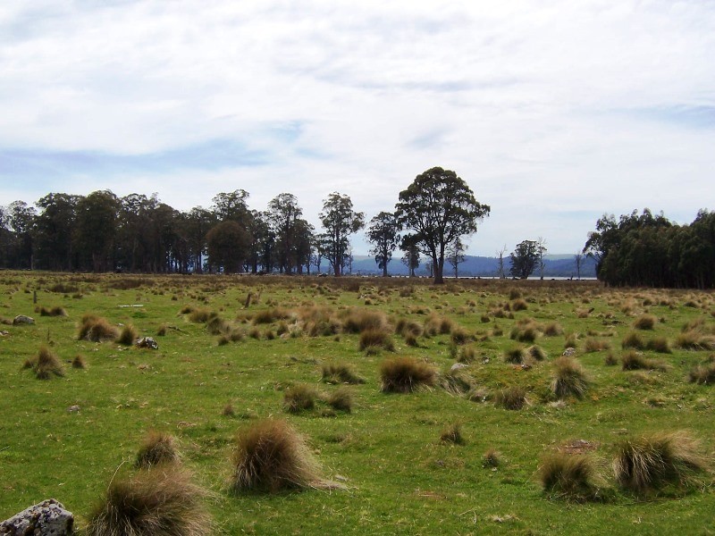 12149 Lyell Highway, Bradys Lake TAS 7140