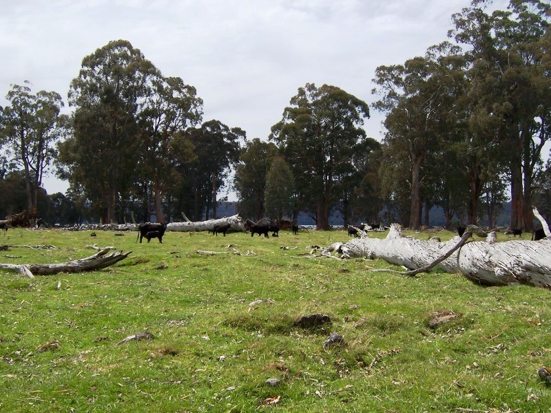 12149 Lyell Highway, Bradys Lake TAS 7140