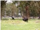 12149 Lyell Highway, Bradys Lake TAS 7140