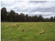 12149 Lyell Highway, Bradys Lake TAS 7140