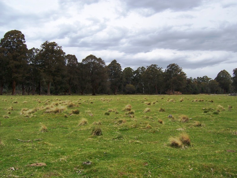 12149 Lyell Highway, Bradys Lake TAS 7140