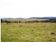 12149 Lyell Highway, Bradys Lake TAS 7140