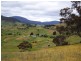 Lot 6 Clifton Vale Road, Dysart TAS 7030