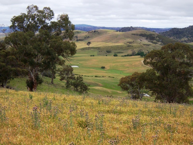 Lot 6 Clifton Vale Road, Dysart TAS 7030